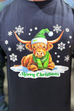 Load image into Gallery viewer, HGP Christmas Pyjama Set (Blue and Green)
