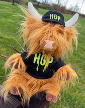 Load image into Gallery viewer, Harry the Highland Cuddly Toy
